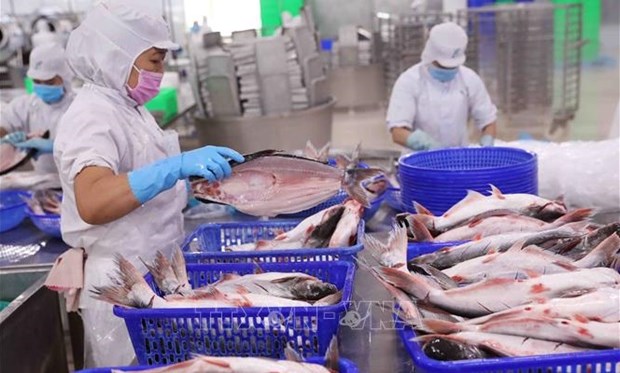 Disminuyen exportaciones de productos acuaticos de Vietnam hinh anh 1