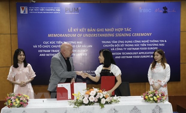 Vietnam y Paises Bajos promueven exportaciones a traves del entorno digital hinh anh 1