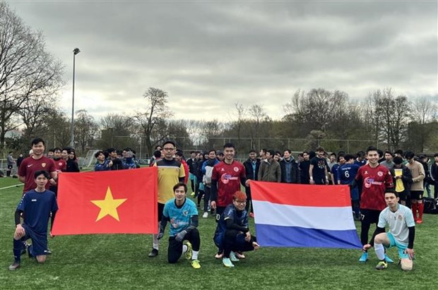 Organizan torneo deportivo por 50 aniversario de relaciones Vietnam-Paises Bajos hinh anh 1