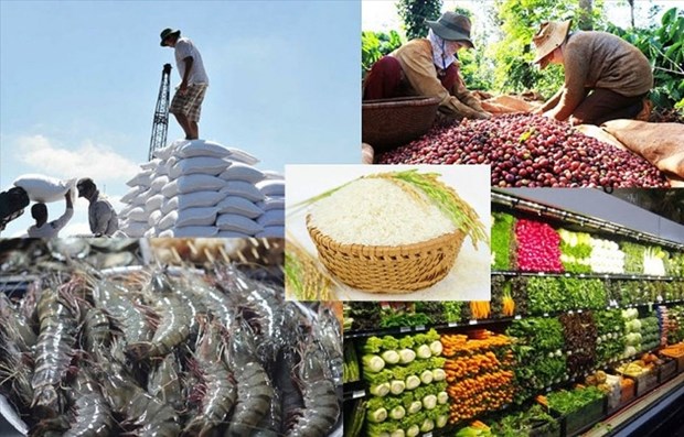 Vietnam aspira a ingresar unos 30 mil millones de dolares por exportaciones de alimentos para 2030 hinh anh 1