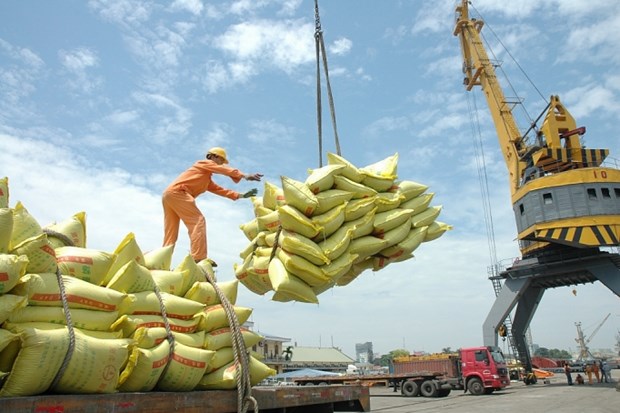 Vietnam aspira a ingresar unos 30 mil millones de dolares por exportaciones de alimentos para 2030 hinh anh 2