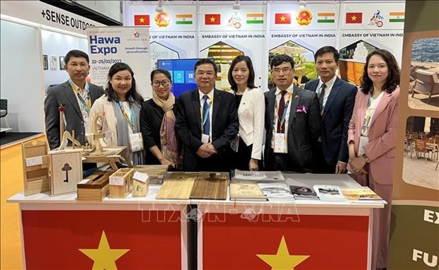 Seminario para actualizar a empresas vietnamitas sobre nueva politica de comercio exterior de India hinh anh 1