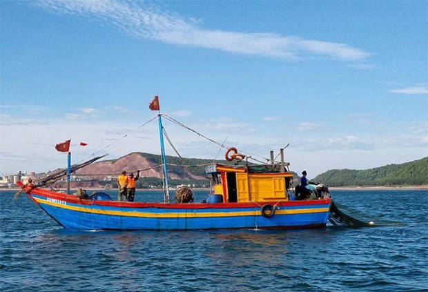 Provincia vietnamita de Nghe An controla estrictamente actividades de pesca ilegal hinh anh 1