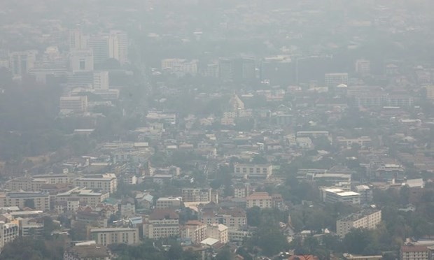 Tailandia: Chiang Mai sufre grave contaminacion por polvo fino hinh anh 1