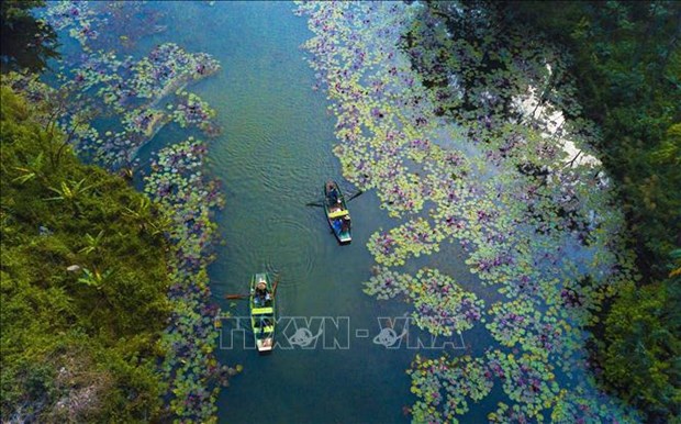 Forbes honra a Ninh Binh entre mejores destinos turisticos en 2023 hinh anh 1