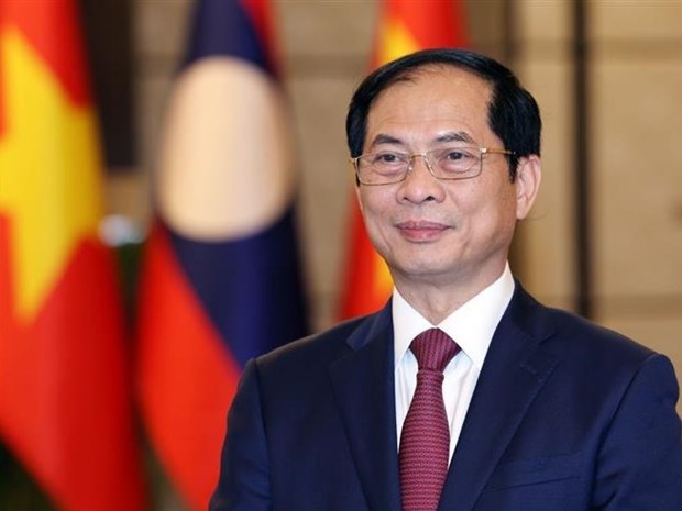 Vietnam atesora amistad y cooperacion integral con Laos, afirma canciller hinh anh 2