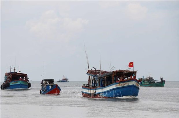 Provincia centrovietnamita promueve lucha contra pesca ilegal hinh anh 1
