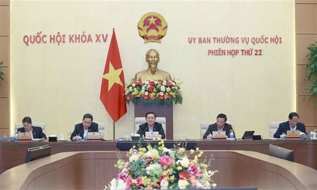 Parlamento vietnamita analiza leyes y politicas sobre la salud de base hinh anh 1