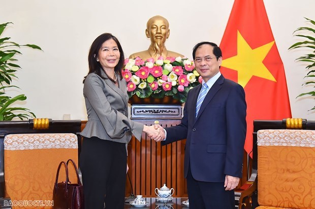 Canciller vietnamita recibe a coordinadora residente de ONU hinh anh 1