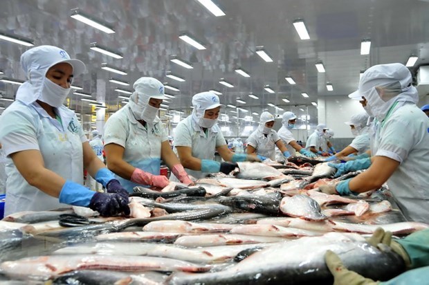 Empresas vietnamitas aprovechan subproductos del pescado Tra hinh anh 1