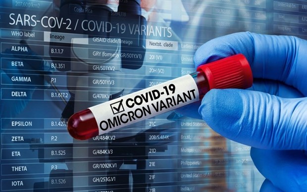 Registran aumento de casos de variante Omicron de COVID-19 en Vietnam hinh anh 2