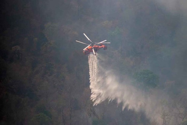 Incendios forestales amenazan parque nacional en Tailandia hinh anh 1