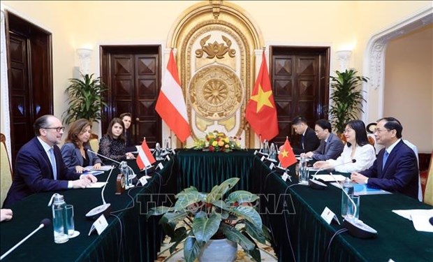 Vietnam y Austria fortalecen nexos de cooperacion hinh anh 2