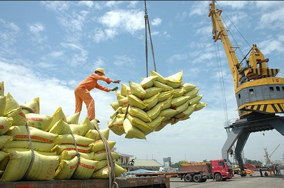 Aumenta precio de arroz exportable de Vietnam de enero a marzo hinh anh 1