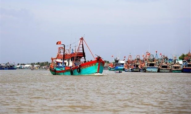 Vietnam trabaja por promover consumo de bienes agricolas y lucha contra pesca ilegal hinh anh 1