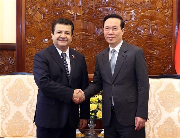 Presidente de Vietnam recibe a embajadores de Chile, UAE y Sri Lanka hinh anh 4
