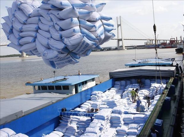 Filipinas dedica casi 500 millones de USD para compra de arroz de Vietnam hinh anh 1
