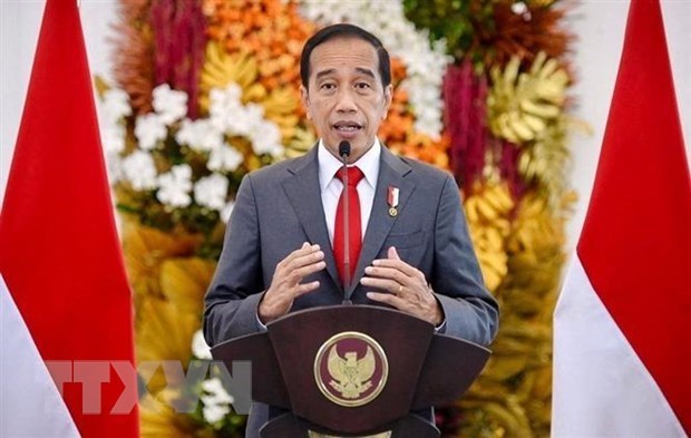 Presidente indonesio insta a una respuesta prudente ante el aumento de COVID-19 hinh anh 1