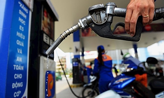 Preven reajuste a la baja de precios de gasolina en Vietnam hinh anh 1