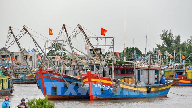 Localidad vietnamita refuerza control de flota provincial para lucha contra IUU hinh anh 1