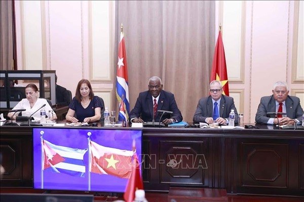 Presidente del Parlamento vietnamita se reune con su homologo cubano hinh anh 3