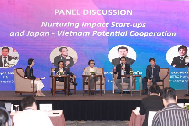 Debaten medidas para estimular inversion de impacto en Vietnam hinh anh 1