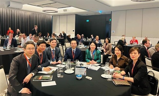 Vietnam asiste a reunion internacional sobre auditoria de desempeno hinh anh 1