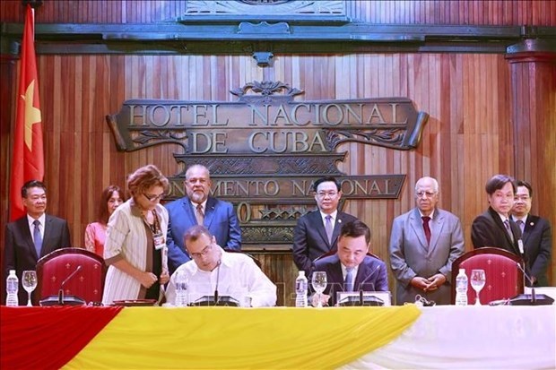 Vietnam y Cuba refuerzan cooperacion comercial y de inversion hinh anh 3