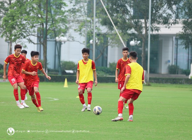 Vietnam se prepara para la fase final de la Copa Asiatica sub-17 hinh anh 1