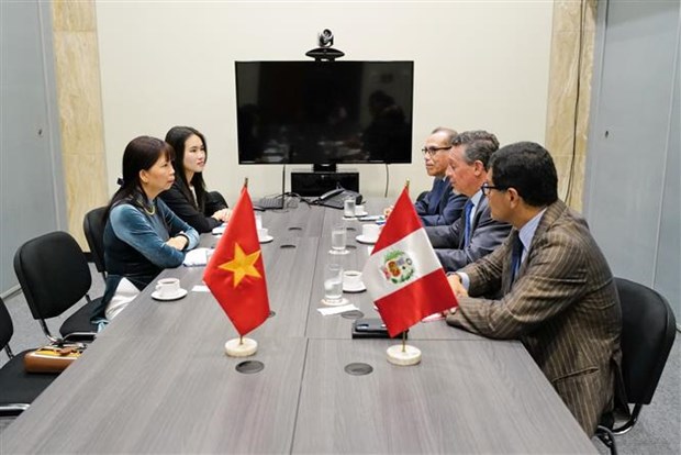 Presidenta peruana valora nexos de cooperacion con Vietnam hinh anh 2