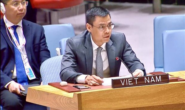 Vietnam: Todos los paises deben cumplir la Carta de la ONU hinh anh 1