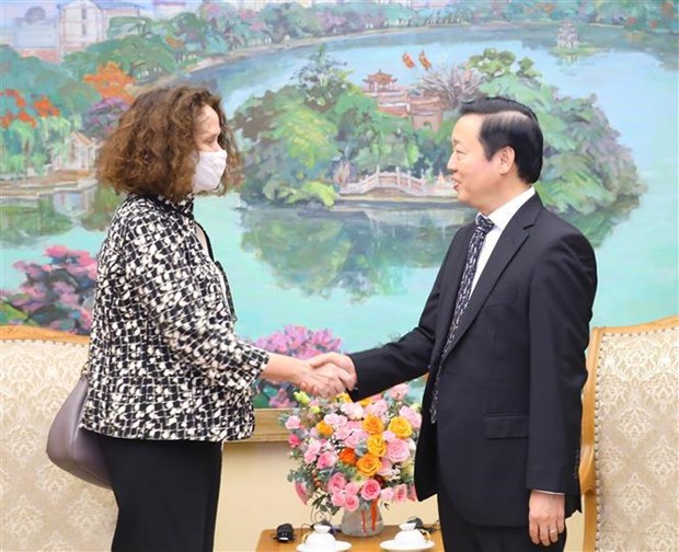 Vicepremier recibe a directora nacional del Banco Mundial en Vietnam hinh anh 1