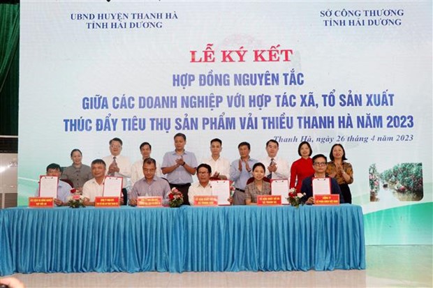 Provincia vietnamita busca promover consumo de lichi hinh anh 2