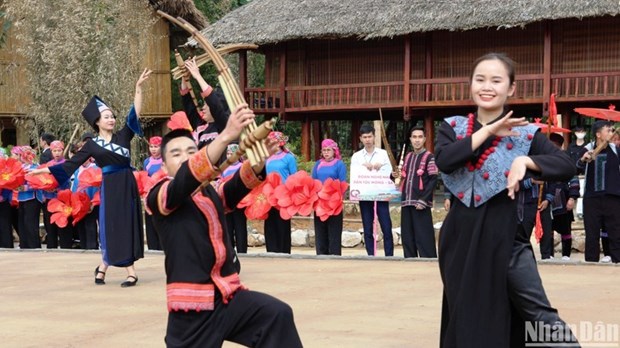 Inauguran mayor festival de rosas del noroeste en Vietnam hinh anh 4