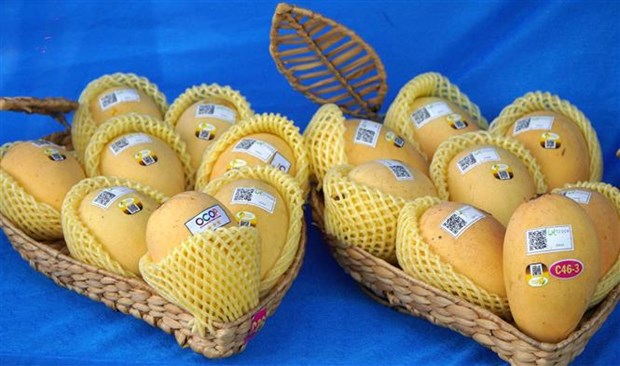 Vietnam, tercer proveedor de mango de Corea del Sur hinh anh 1