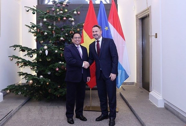 Vietnam y Luxemburgo profundizan relaciones de cooperacion hinh anh 1