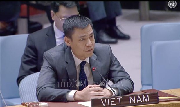 Vietnam prioriza construccion de confianza para impulsar la paz, segun embajador hinh anh 1