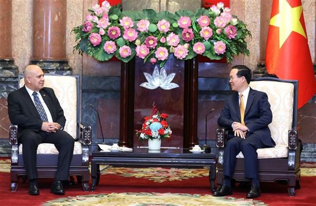 Presidente vietnamita recibio a delegacion de alto nivel del Partido Comunista de Cuba hinh anh 1