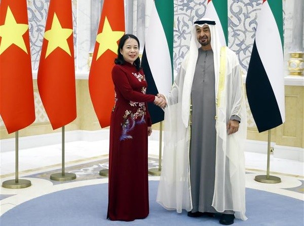 Considera UAE a Vietnam un importante socio en Asia-Pacifico hinh anh 1