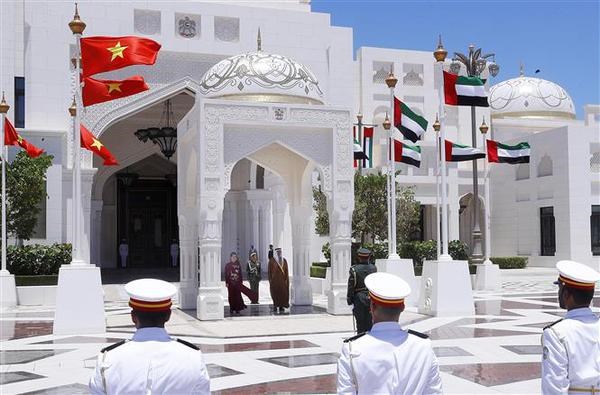 Considera UAE a Vietnam un importante socio en Asia-Pacifico hinh anh 2