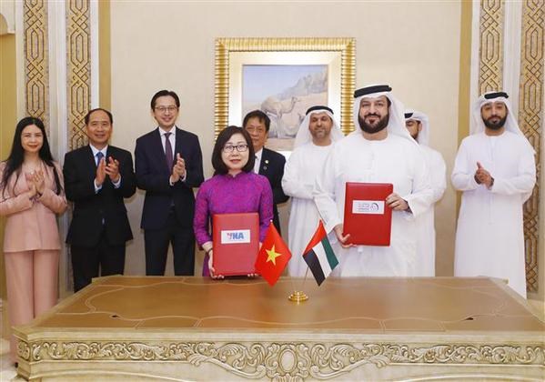 Vietnam y UAE fomentan cooperacion en informacion y comunicacion hinh anh 2