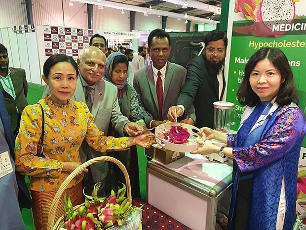 Promocionan pitahaya vietnamita en Feria Internacional My Karachi-Oasis of Harmony 2023 hinh anh 1