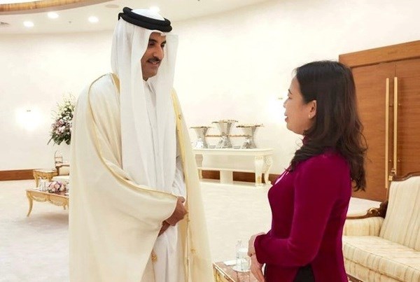 Vietnam y Qatar tienen potenciales para ampliar cooperacion hinh anh 1