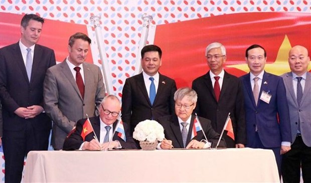 Vietnam y Luxemburgo promueven cooperacion en comercio e inversion hinh anh 1
