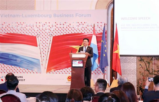 Vietnam y Luxemburgo promueven cooperacion en comercio e inversion hinh anh 2