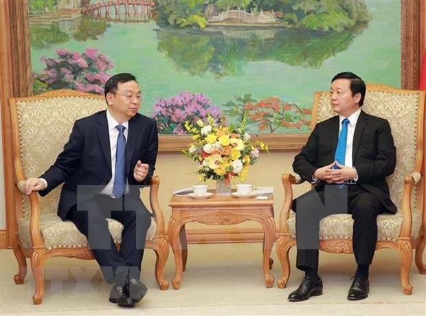 Vicepremier vietnamita recibe a dirigentes de grupos de China y Japon hinh anh 1