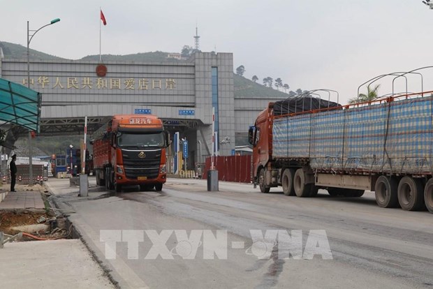 Alerta en Vietnam por informacion falsa sobre exportacion de productos agricolas a China hinh anh 1