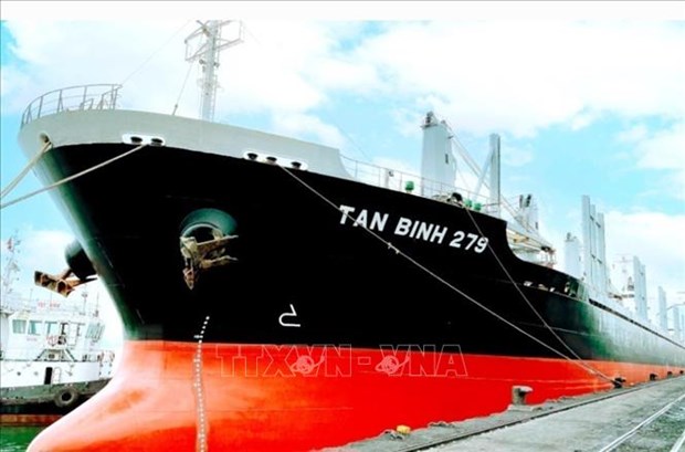Vietnam envia 23 mil toneladas de carbon a Sudafrica hinh anh 1