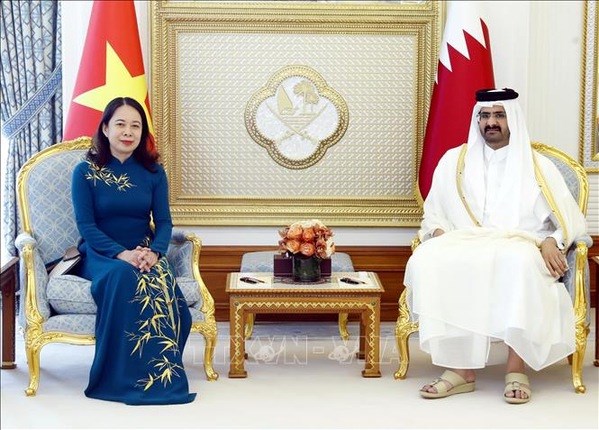 Fomentan Vietnam y Qatar relaciones de cooperacion multifacetica hinh anh 1