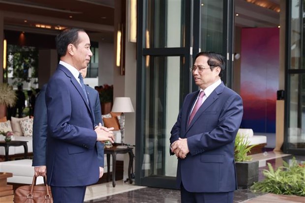 Vietnam e Indonesia conceden importancia a promover su asociacion estrategica hinh anh 1